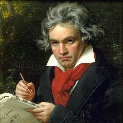 Beethoven Piano Sonata icon