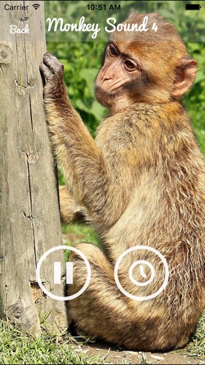 Monkey Sounds - Funny Sounds for kid(圖3)-速報App