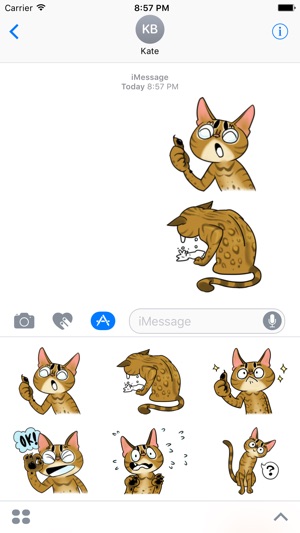 Misty the Cat. Stickers by Design73(圖1)-速報App