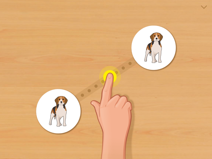 Animal Card Matching