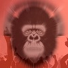 GorillasPlayer-Background Music Player For Youtube