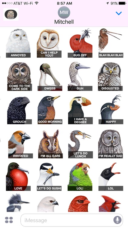 iBird Stickers