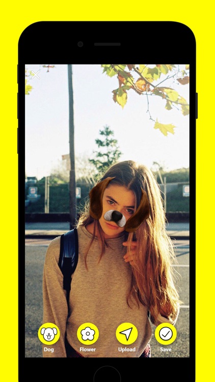 Dogenses - Dog Face Lenses App