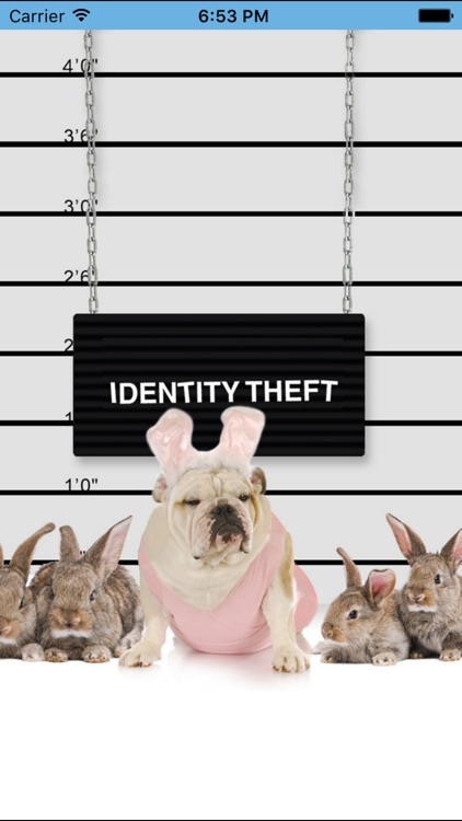 Life After School Explained screenshot-3