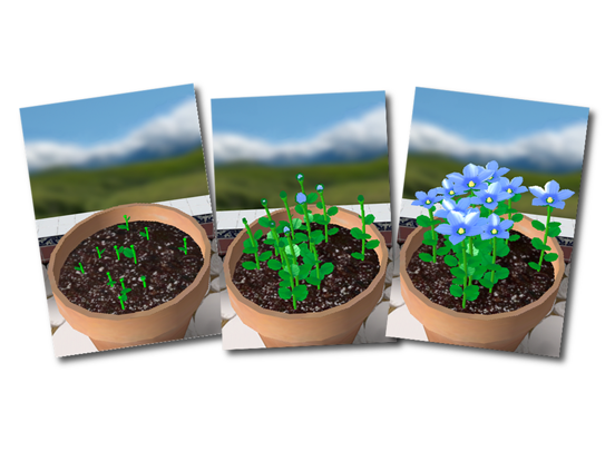 Flower Garden Free - Grow Flowers and Send Bouquets screenshot