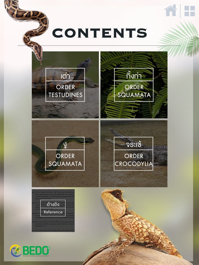 Reptiles of Thailand(圖2)-速報App