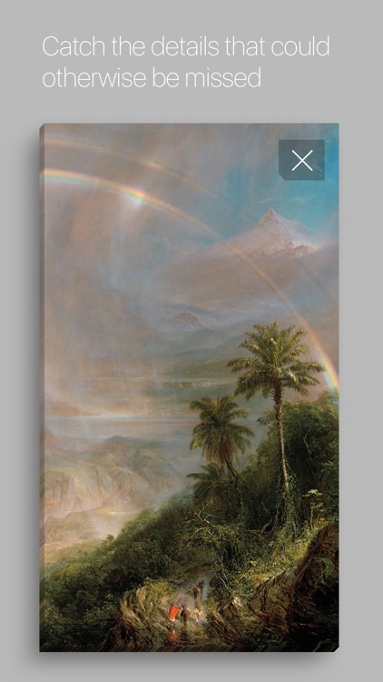de Young - Fine Arts Museums of San Francisco screenshot-4