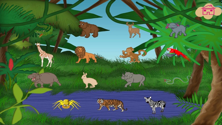 Memory Game Wild Animals Flash Cards screenshot-4