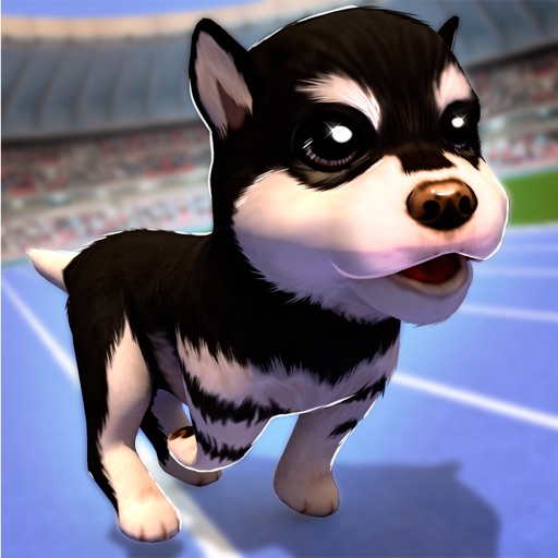 Puppy Evolution: The Dog Runner Icon