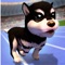Compete with your cute puppy dog through an obstacle course in a race for both time and accuracy