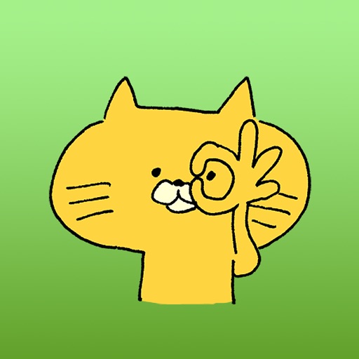 Kora the yellow cat