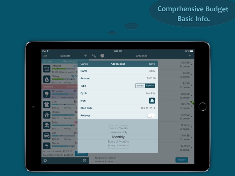 Best Budget for iPad - Money Saver and Expense Log screenshot-3