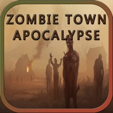 Activities of Car Driving Survival in Zombie Town Apocalypse