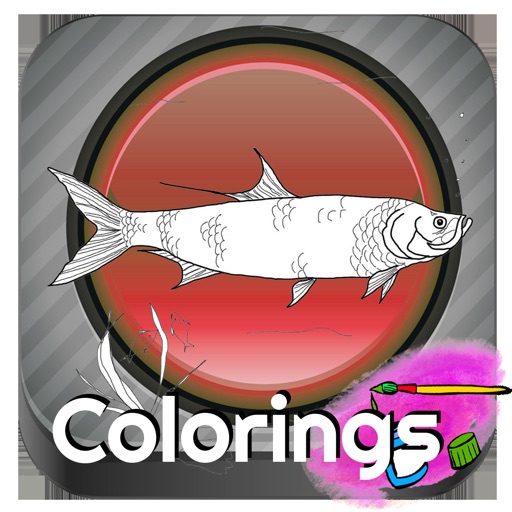 Tap Barracuda Color Game Icon