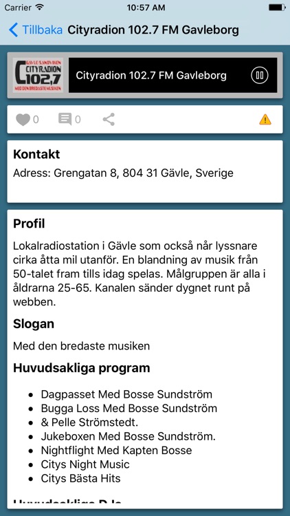 Sweden Radio Online screenshot-3