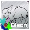 Bison Drawing Book For Toddle