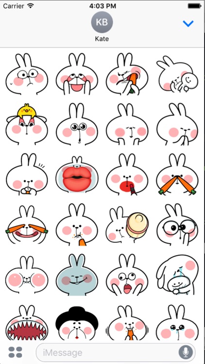 Cool Rabbit Face