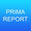 Primavera Report