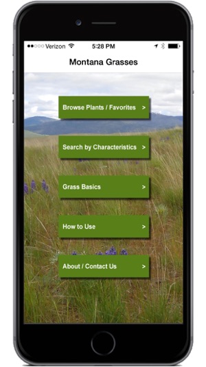 Montana Grasses(圖2)-速報App