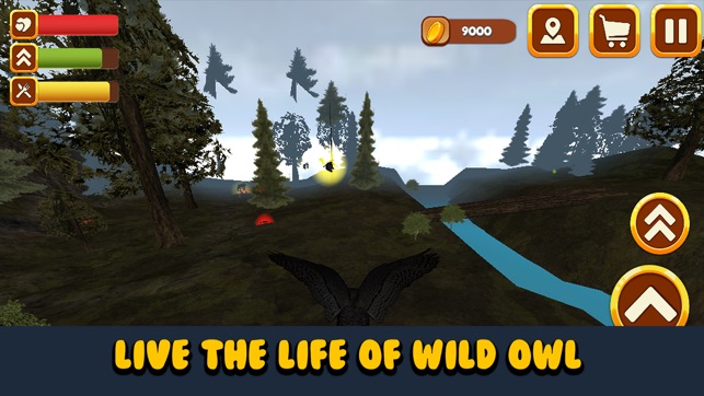 Wild Owl Bird Survival Simulator(圖1)-速報App