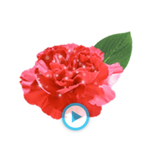 Thankful Bouquet - Animated Flower Stickers icon