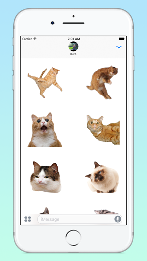 Fresh Cats(圖2)-速報App