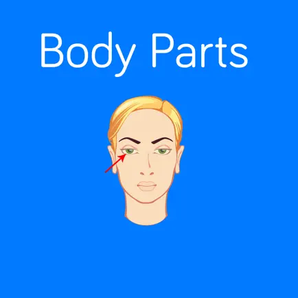 Body Parts Flashcard for babies and preschool Читы