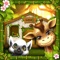Jungle Animal House Decoration – Home Design Games