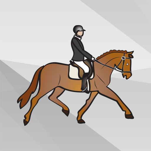 Equestrian English Horse Riding Stickers
