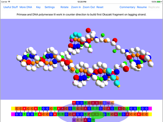 OnScreen DNA Replicationのおすすめ画像2