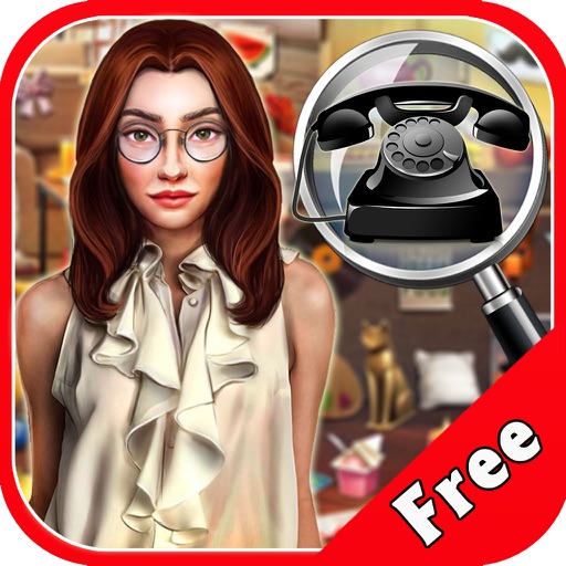 Free Hidden Objects : New york Calling