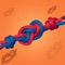 Tie, untie and rotate more than 55 knots with just your finger