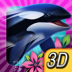 Activities of Orca Paradise - All Access