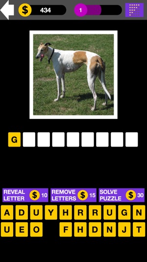 Top Dog Breed Quiz Maestro(圖3)-速報App