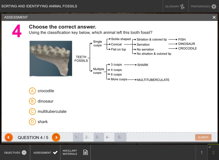 Analysis of Fossil Evidence screenshot-4