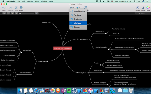 Mydea Lite (mindmap)(圖4)-速報App