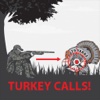 Turkey Calls App for Hunting