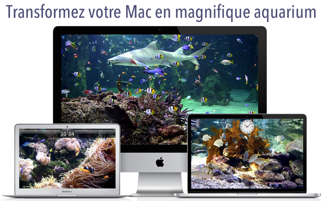 Aquarium Hd Fonds Décran Dans Le Mac App Store