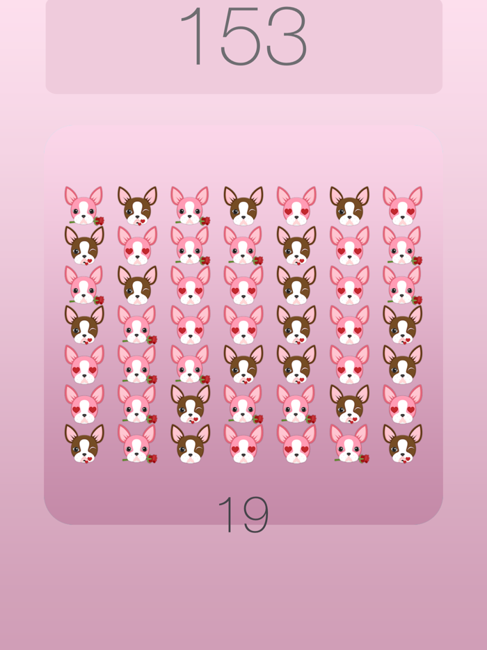 Boston Terrier Shuffle Chocolate