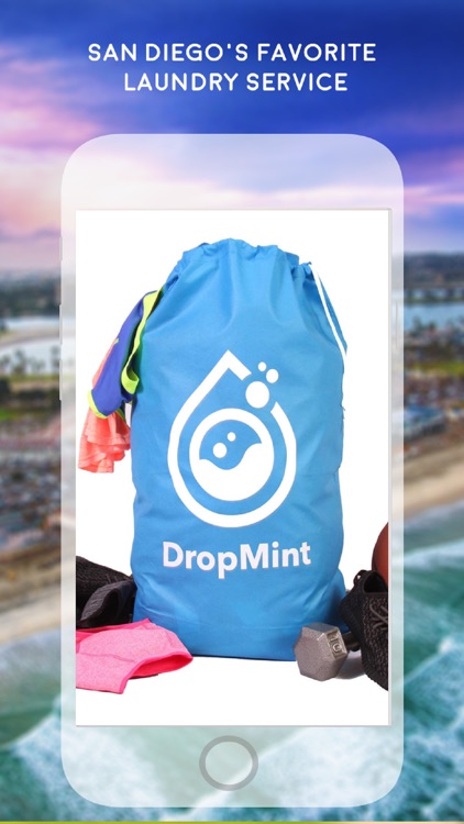 DropMint: Laundry On-Demand