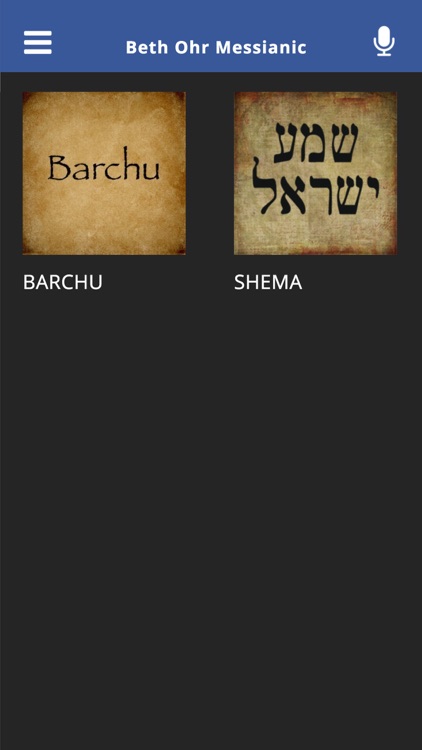 Beth Ohr Messianic screenshot-4