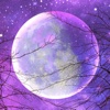 Starry Sky And Full Moon Wallpapers HD-Art Quotes