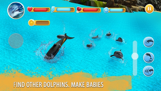 Dolphin Family Simulator Full(圖2)-速報App