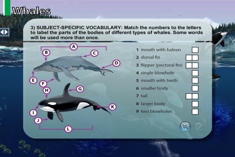 The Killer Whale screenshot 2