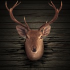 Buck Bear Hunter 2016- free deer hunting games