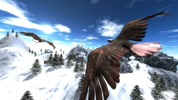 Flying Bird-s Vr Flight Games For Google Cardboard screenshot-3