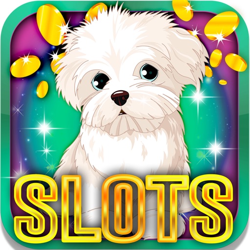 Bulldog's Slot Machine: Play with the cute dog Icon