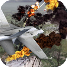 Activities of Combat Warplanes