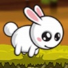 Cute Rabbit High Jump Mania