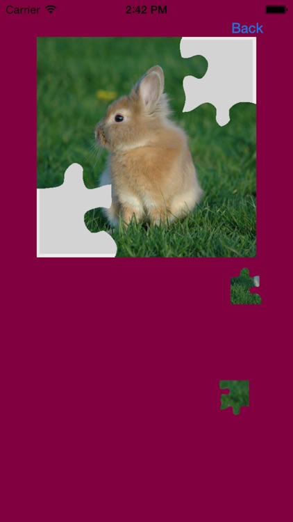 Baby Rabbits Jigsaw Puzzles screenshot-4